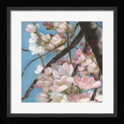 Framed Cherry Blossoms II Print