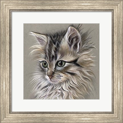 Framed Kitten Portrait I Print