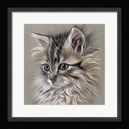 Framed Kitten Portrait I Print
