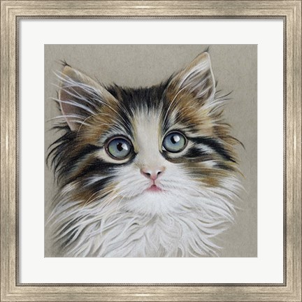 Framed Kitten Portrait II Print