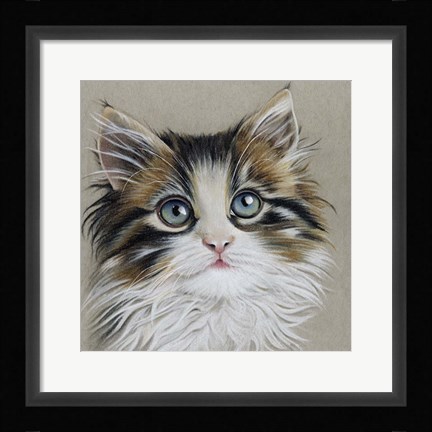 Framed Kitten Portrait II Print