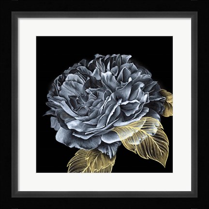 Framed River Roses I Print