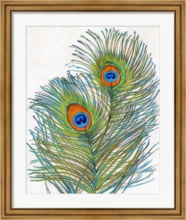 Framed Vivid Peacock Feathers I Print