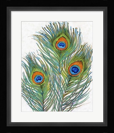 Framed Vivid Peacock Feathers II Print