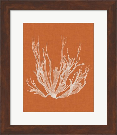 Framed Seaweed Pop I Print