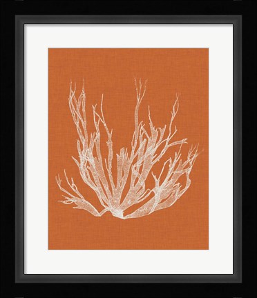 Framed Seaweed Pop I Print