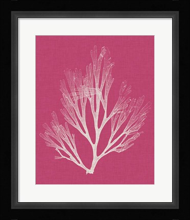 Framed Seaweed Pop III Print
