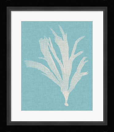 Framed Seaweed Pop IV Print