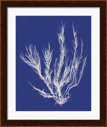 Framed Seaweed Pop VI Print