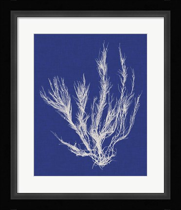 Framed Seaweed Pop VI Print
