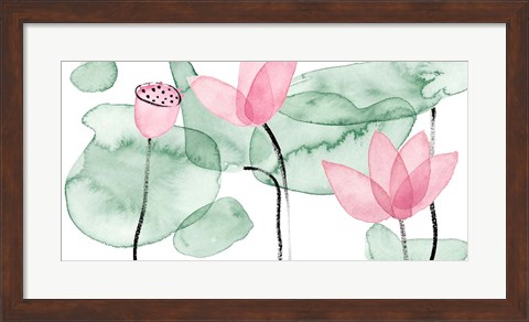 Framed Lotus in Nature III Print