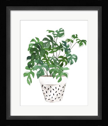 Framed Plant in a Pot IV Print