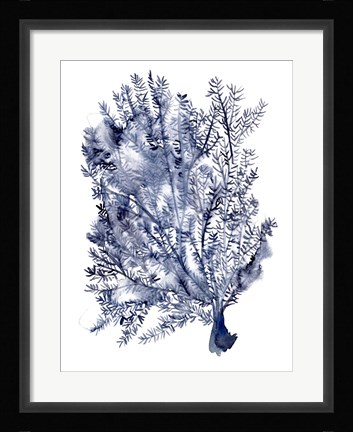 Framed Seaweed Under Water II Print
