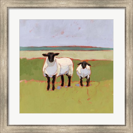 Framed Suffolk Sheep I Print