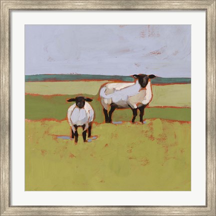 Framed Suffolk Sheep II Print