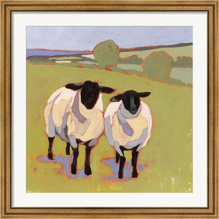 Framed Suffolk Sheep IV Print