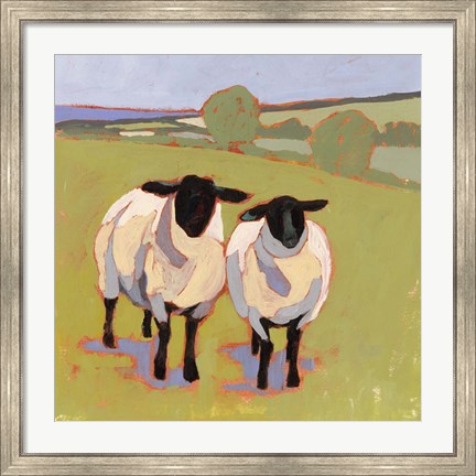 Framed Suffolk Sheep IV Print