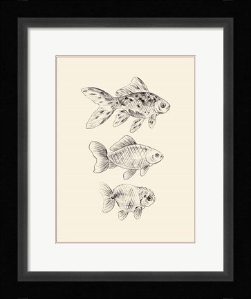 Framed Goldfish I Print