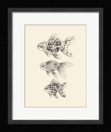 Framed Goldfish II Print