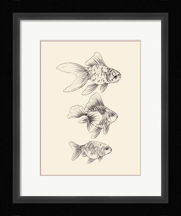 Framed Goldfish III Print