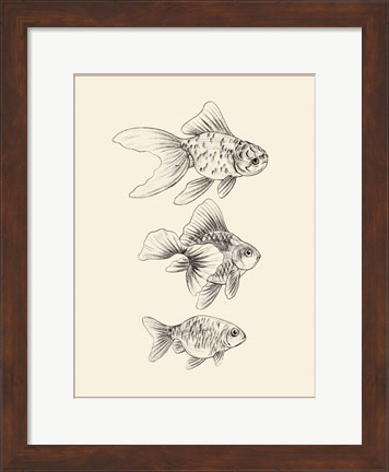 Framed Goldfish III Print