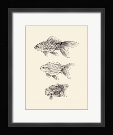 Framed Goldfish IV Print