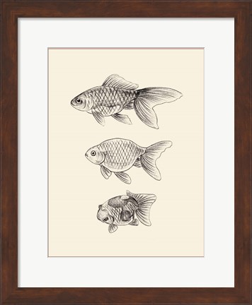 Framed Goldfish IV Print