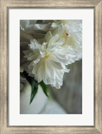 Framed White Peonies In Cream Pitcher 1 Print