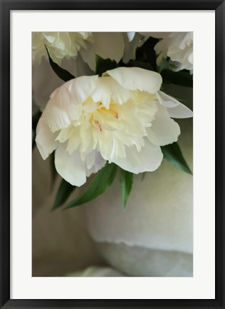 Framed White Peonies In Cream Pitcher 3 Print