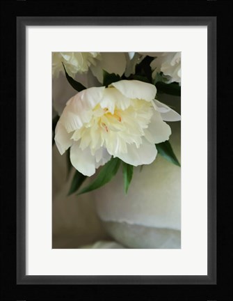 Framed White Peonies In Cream Pitcher 3 Print