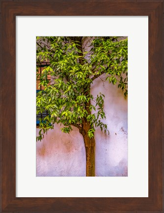Framed Tree And Wall Print