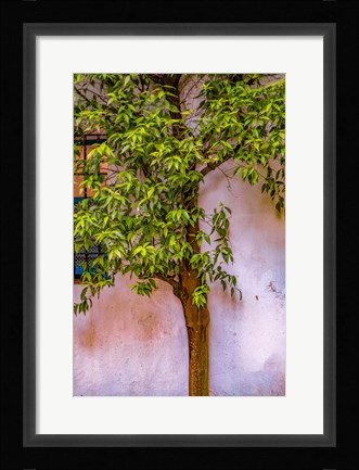 Framed Tree And Wall Print