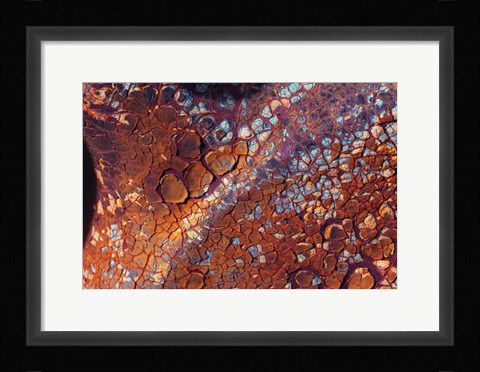 Framed Layers Of Worn Auto Paint Abstract 2 Print