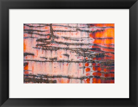 Framed Details Of Rust And Paint On Metal 3 Print