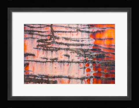 Framed Details Of Rust And Paint On Metal 3 Print