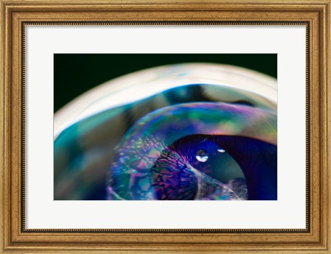 Framed Macro Of Colorful Glass 5 Print