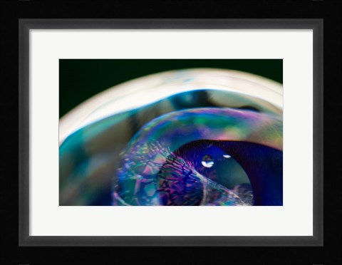 Framed Macro Of Colorful Glass 5 Print