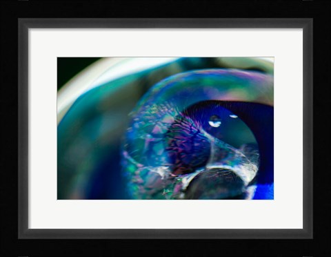 Framed Colorful Abstract Background 2 Print