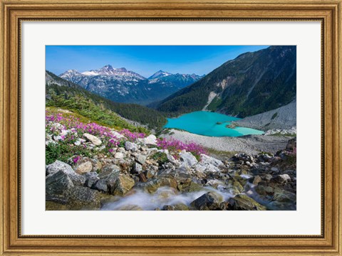 Framed British Columbia, Meltwater Stream Flows Past Wildflowers Into Upper Joffre Lake Print