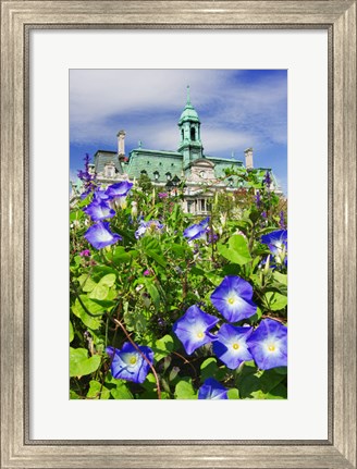 Framed USA, Montreal View Of City Hall Building Behind Flowers Print