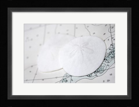 Framed Sand Dollars On Nautical Chart Print