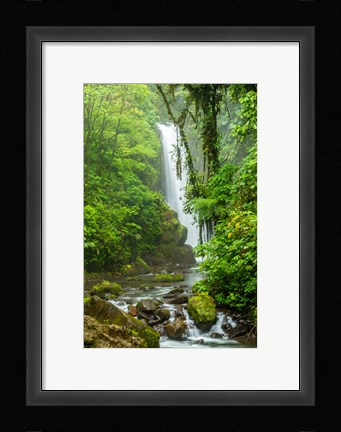 Framed Costa Rica, La Paz Waterfall Garden Rainforest Waterfall And Stream Print
