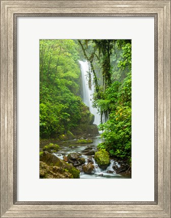 Framed Costa Rica, La Paz Waterfall Garden Rainforest Waterfall And Stream Print
