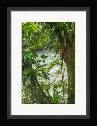 Framed Costa Rica, Sarapiqui River Valley, Rio Puerto Viejo River In Rainforest Print