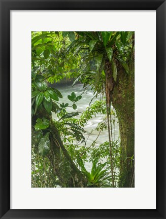 Framed Costa Rica, Sarapiqui River Valley, Rio Puerto Viejo River In Rainforest Print