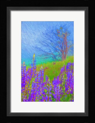 Framed Arizona Aspen Tree In Winter Print