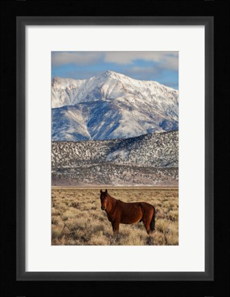 Framed California White Mountains And Wild Mustang In Adobe Valley Print