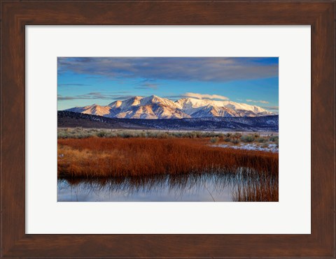 Framed California White Mountains And Reeds In Pond Print