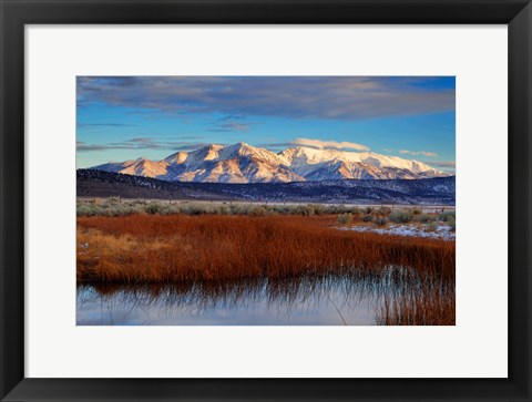 Framed California White Mountains And Reeds In Pond Print