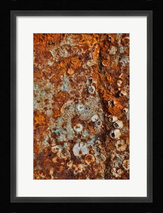 Framed Old Wooden Fishing Boat Out Of Water, Detail Of Paint Crescent City, California Print